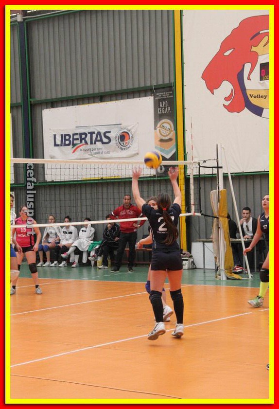 140223 cegap 219_tn.jpg